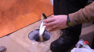 Ловля рипуса на Увильдах