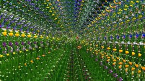 Цветочное лето  России.mp4