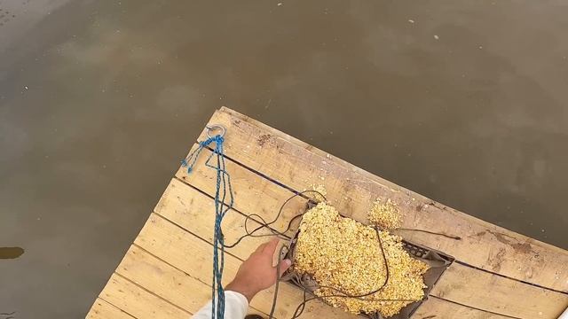 ПОТЕРЯЛ ГУСЕНКА ! ВЫКОСИЛ ВСЕ ! [Жизнь в деревне] смотреть онлайн