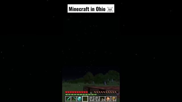 can't even play minecraft in Ohio ☠️ #shorts смотреть онлайн