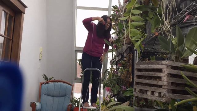 Indoor Watering - Misting System Failure and Hand Watering 500 Orchids смотреть онлайн