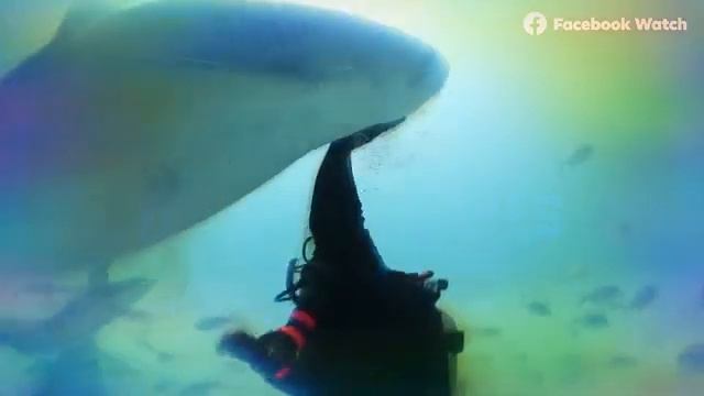 Хорошие приложения для общения смотреть онлайн