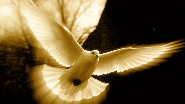 DIOS ESTÁ AQUÍ - Canta Juan Manuel Flores Castro смотреть онлайн