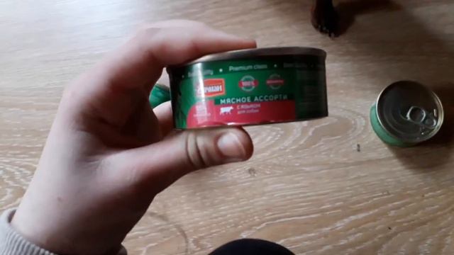 DOG VLOG поездка на дачу\3 веселых дня смотреть онлайн