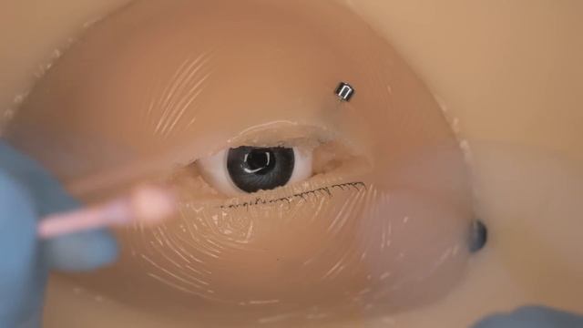 [ASMR] これが究極のクセになる動画 (目, 耳, 鼻, 口, 舌, 足) смотреть онлайн