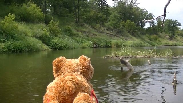 20.06.20 я на реке Медведица смотреть онлайн