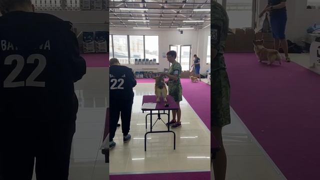 8 марта 2023 г. смотреть онлайн