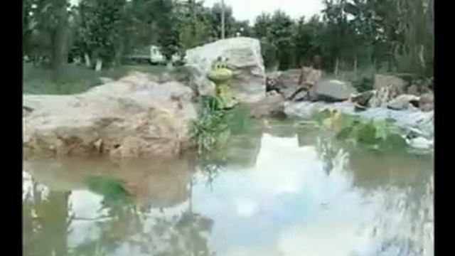 Кокчетав видео смотреть онлайн