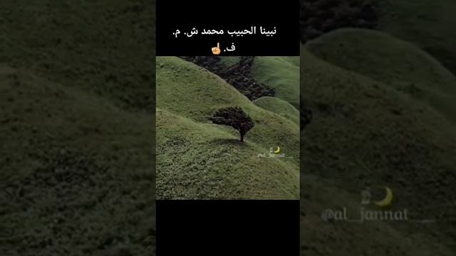 любимец ВСЕВЫШНЕГО