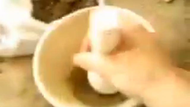 Видеоотчет по практике смотреть онлайн