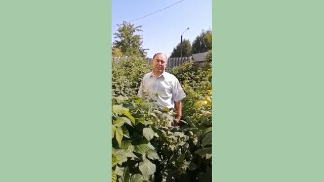 Поздравление к 100-летию Чувашской Автономии смотреть онлайн