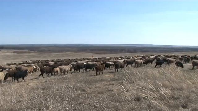 Бизнес для души Телеканал Радуга 3