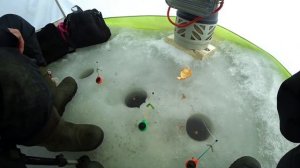 Зимняя рыбалка на Озернинском водохранилище. Ловим плотву и уклейку.