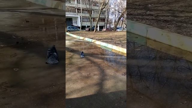 Зябликово смотреть онлайн