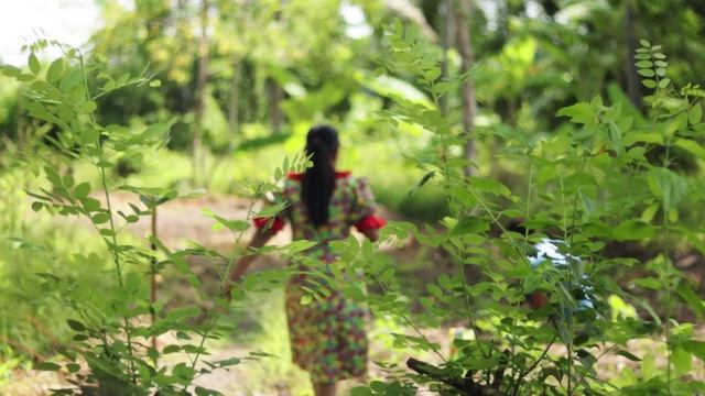Rambutan! Yummy Sweet Recipes From Juicy Red Rambutan Fruit | Pulasi - Village Life