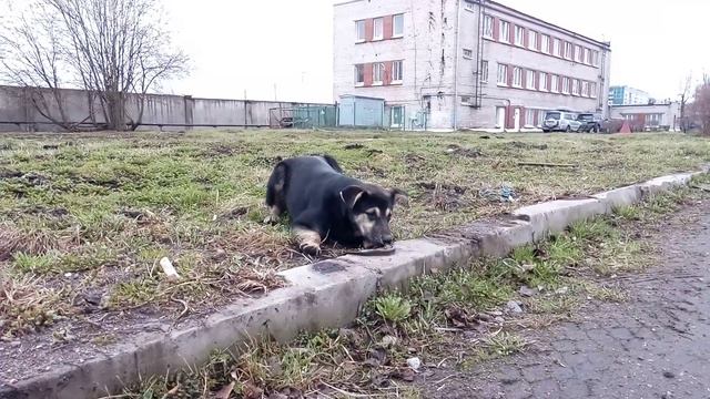 Граф и минога смотреть онлайн