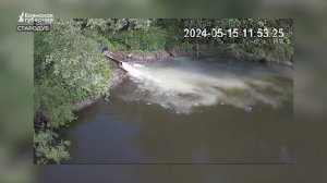 «Брянская губерния» разбиралась с загрязнением реки Бабинец