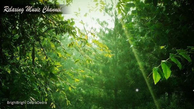 Хорошая Расслабляющая Музыка для Отдыха Релаксации и Медитации: Слушать Музыку Природы Пианино смотреть онлайн