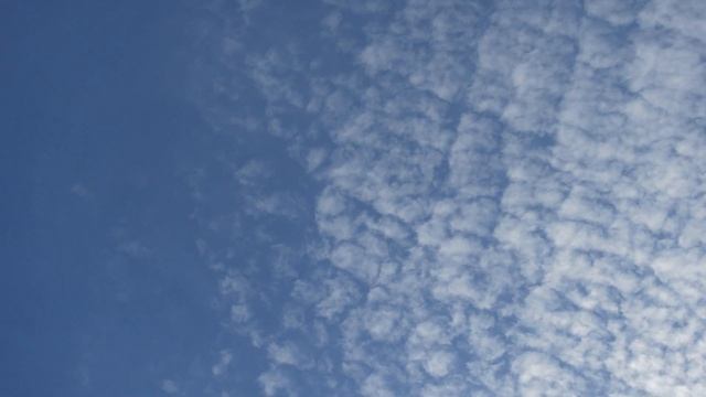 Цветы на камне смотреть онлайн