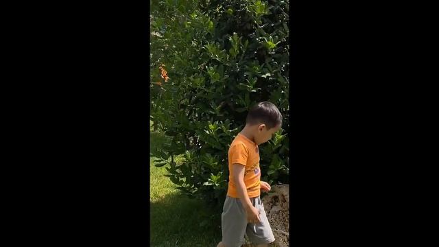 Праздник ко дню защиты детей в младшей группе 1/06/2023 смотреть онлайн