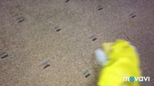 Vanish Gold чистим ковролин от пятен!