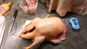Утка мулард чистый вес в 63 дня.