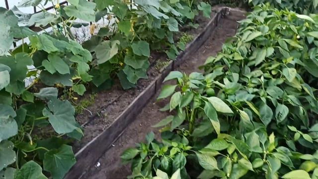 Меньше слов, больше дела. смотреть онлайн