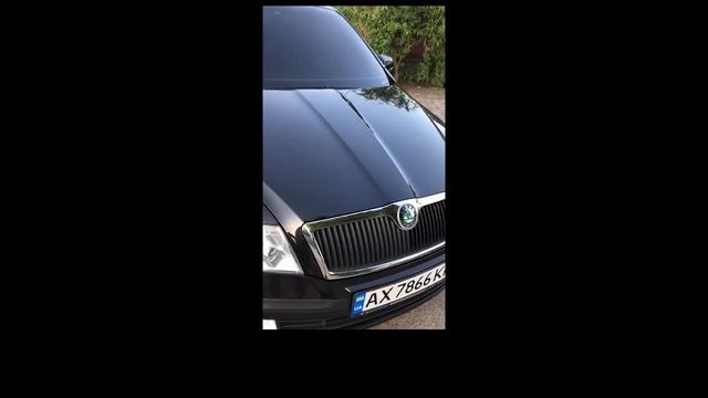 Покупка в Германии - ремонт в Украине. Шкода Октавиа 2007-го года 1.8TSi. Май 2021 смотреть онлайн