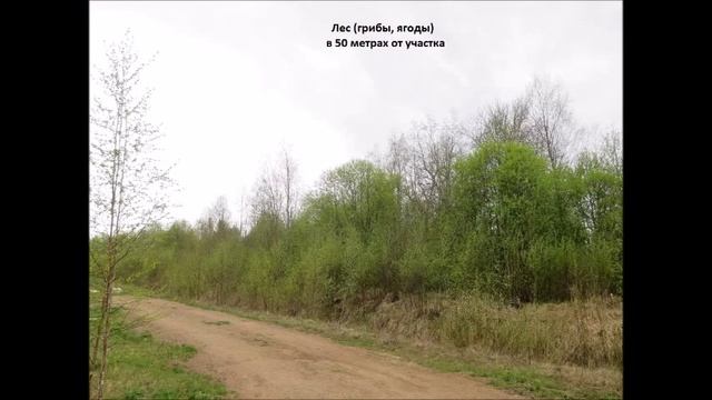 Продам участок в 50-60 км от СПб, Апраксин, СНТ Ритм: 6 соток, лес, эл-во смотреть онлайн