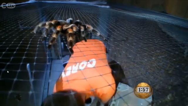 Fort Boyard Ultimate Challenge S05 E01 Part 1 смотреть онлайн
