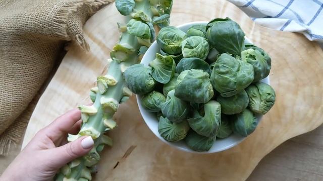 Брюссельская капуста с Кубани, ферма Сергея Зверева смотреть онлайн