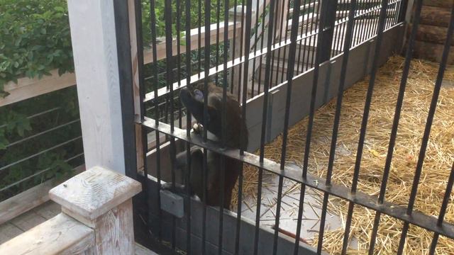 Ялта - Интурист июнь 2017 смотреть онлайн