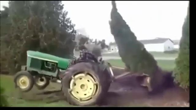 дерево умеет постоять за себя смотреть онлайн