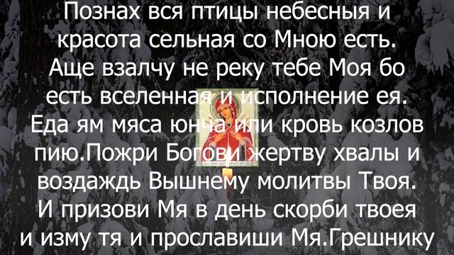 ВСЕ ВРАГИ ОТ ЭТИХ СЛОВ БЕГУТ КАК ОТ ОГНЯ слова которые защитят вас от ваших враг смотреть онлайн