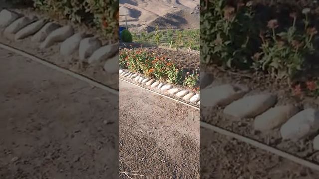 дача природа кайф смотреть онлайн