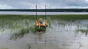 Удаление камыша с корнями