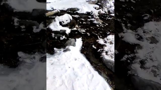 VID 20210222 162802 смотреть онлайн