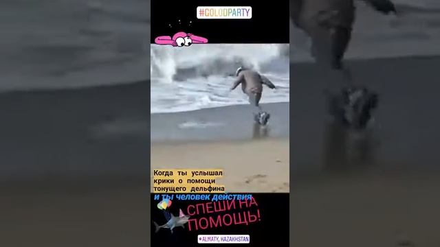 "Как спасать тонущего дельфина" - подробная видео инструкция. смотреть онлайн