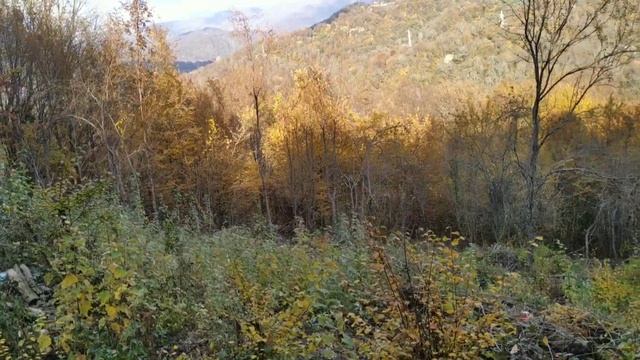 участок 5 соток смотреть онлайн