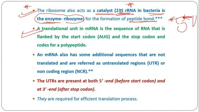 6.8 Translation and Gene Regulation смотреть онлайн