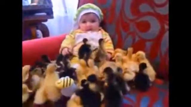 Новые приколы Девушки Фрики Забавные животные Дети Россия 2015 Вот это прикол #3 смотреть онлайн