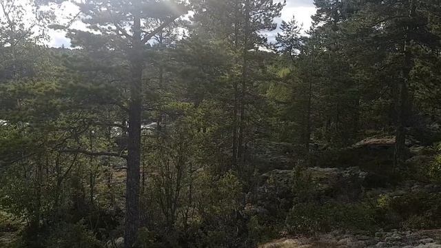 ПВД в Карелию к острову Катаясаари смотреть онлайн