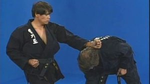 Хапкидо - техники желтого пояса.