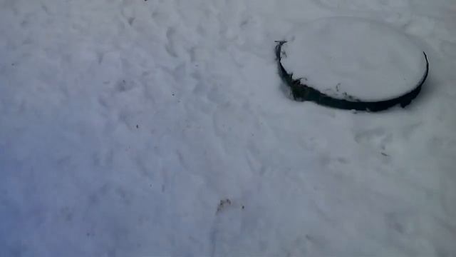Как пропустить уроки или выйти из класса во время урока смотреть онлайн