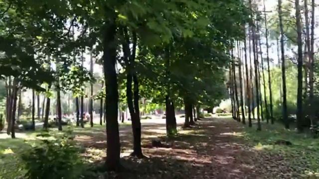 #Липецк. Сегодня солнце и тепло. 27.05.2019 смотреть онлайн