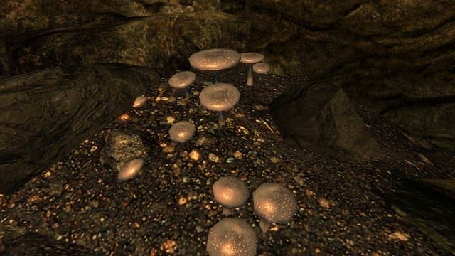Skyrim SE Mod Recap - Week 44/2017 смотреть онлайн