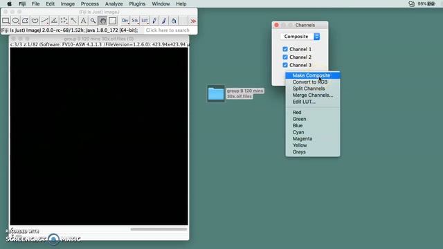 How to use Fiji or ImageJ to create a 3D image using 3D viewer plugin смотреть онлайн