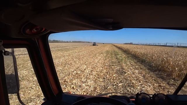 ДОСТОЙНЫЙ ФИНАЛ Уборки Кукурузы 2023 /  Результат Порадовал /КСС 5291 Превзошел все ожидания