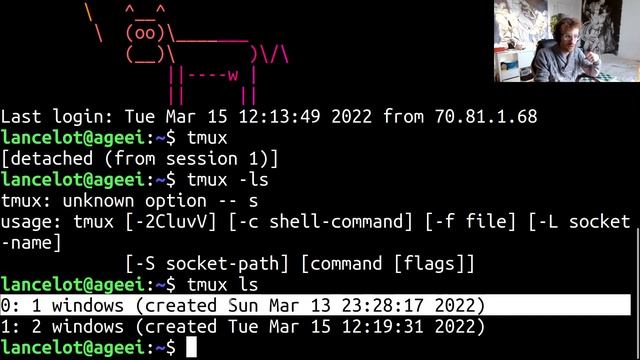 221 INF1070 11 Lab 8 - SSH TMUX DOCKER смотреть онлайн