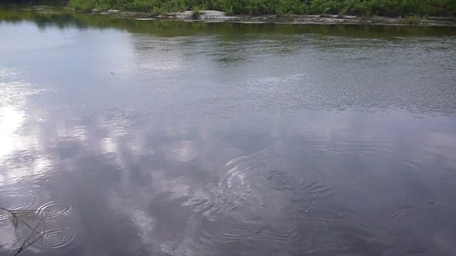 Рыбалка 2018. Открытие сезона. Голавль на крючок самоподсекатель смотреть онлайн